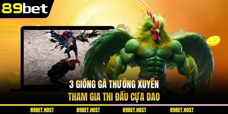 3 giống gà thường xuyên tham gia thi đấu cựa dao